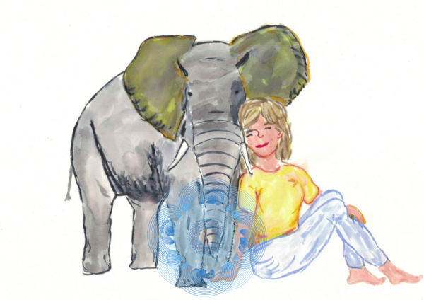 Elefant: Sicherheit (Download)
