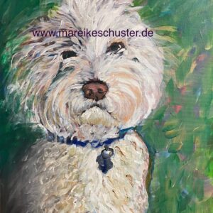 Lagotto (Kunstdruck)