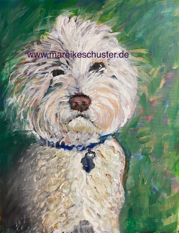 Lagotto (Kunstdruck)