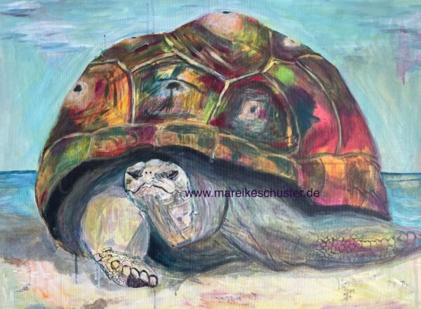 Schildkröte (Kunstdruck)