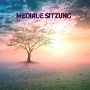 Mediale Sitzung