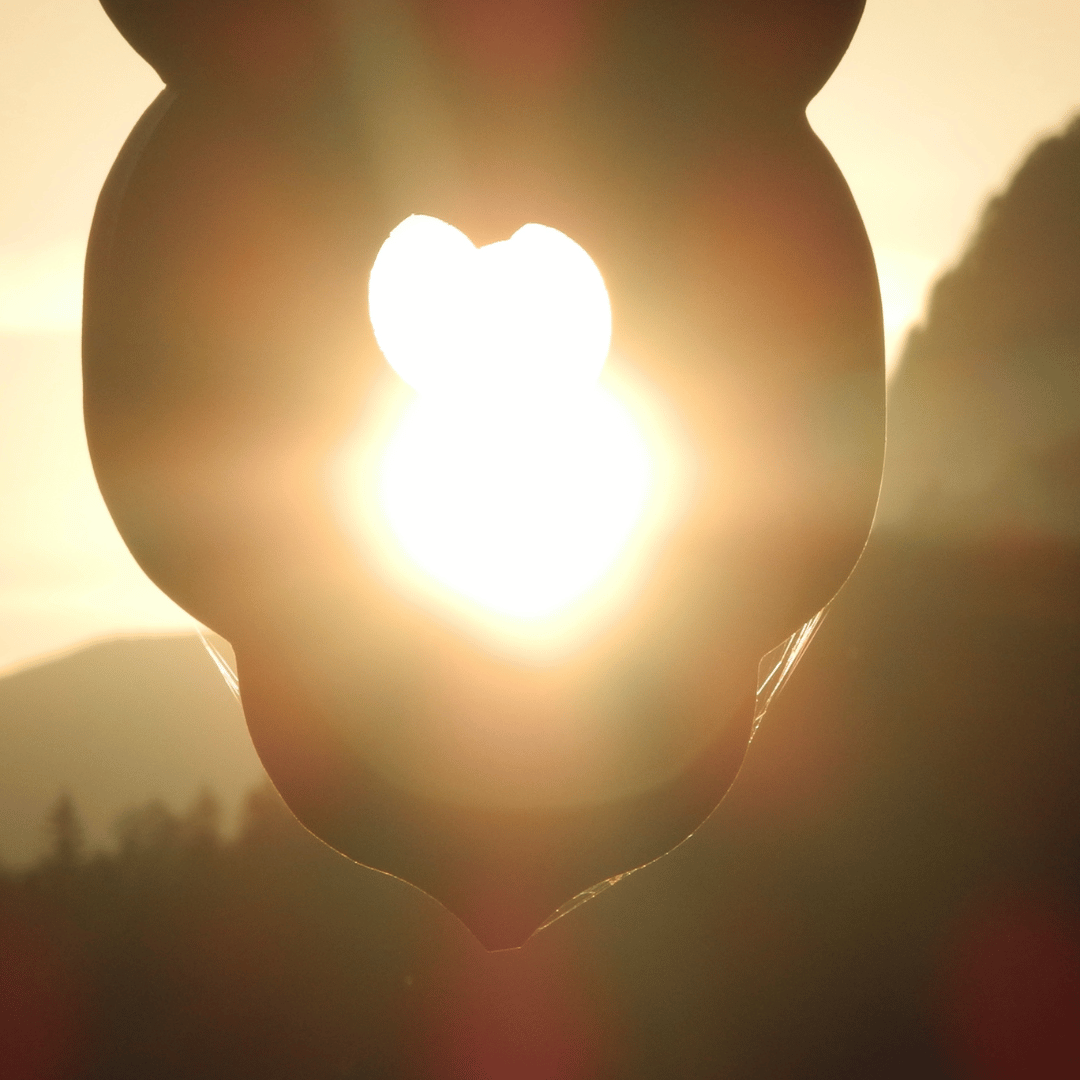 Mehr über den Artikel erfahren Glücklich sein in Zeiten von Umbruch