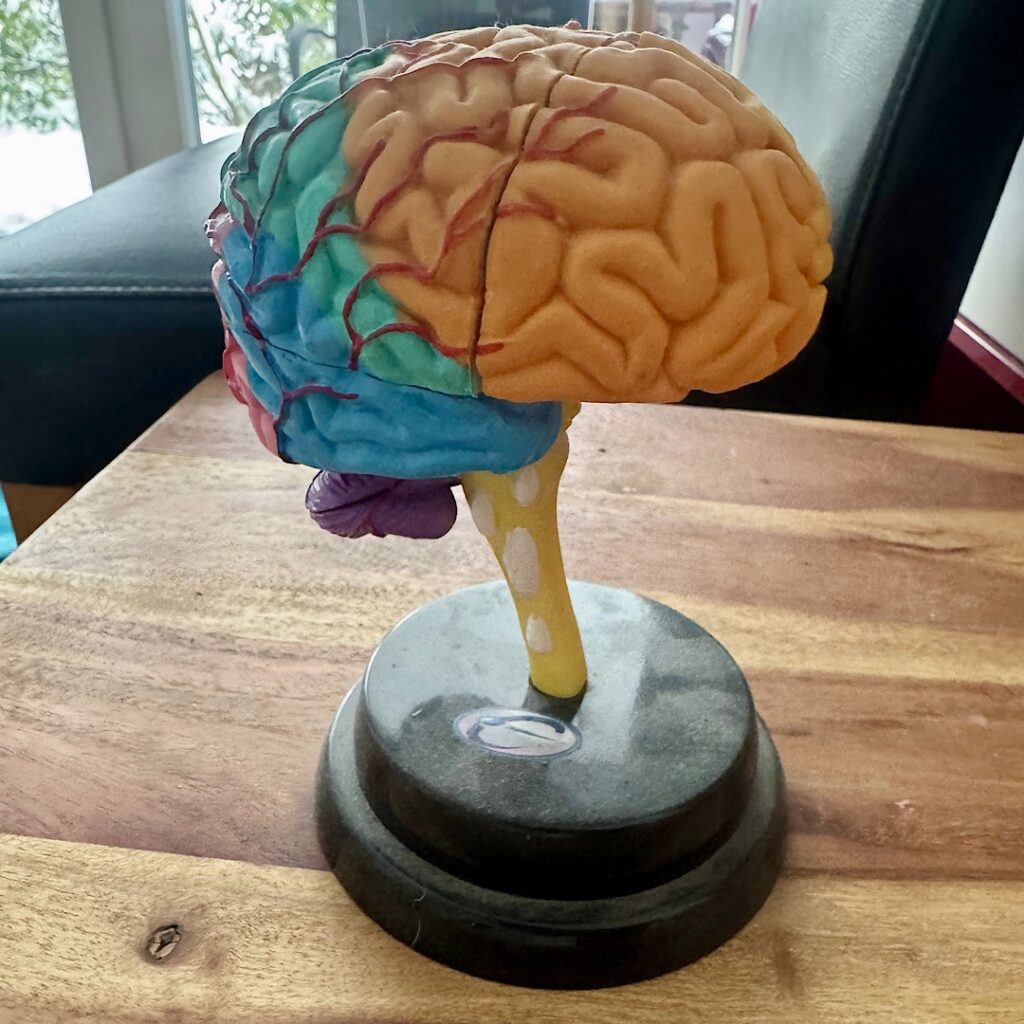 Neurofeedback Konzentrationsprobleme Königstein