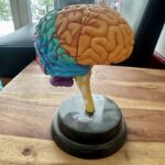 Neurofeedback Konzentrationsprobleme Königstein