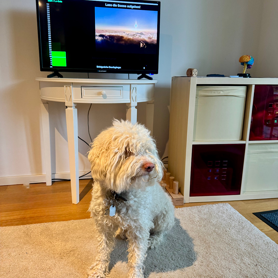 Mehr über den Artikel erfahren Was ist Neurofeedback? Wirkung, Ablauf und Einsatz bei Kindern und Jugendlichen